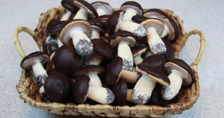 Original Mushroom cookies