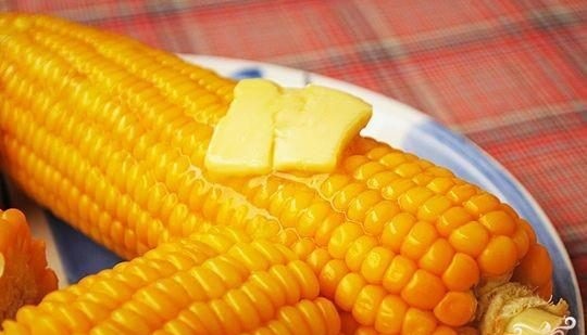 Boiled corn on the cob