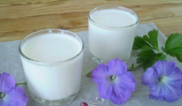 Homemade milk kefir