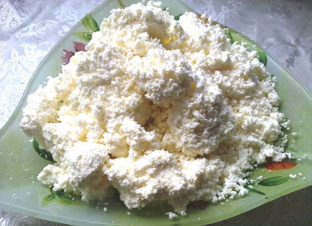 Homemade sour milk cottage cheese