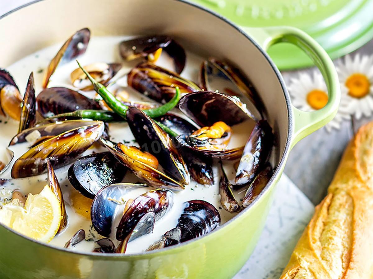 FROZEN MUSSELS IN CREAM SAUCE