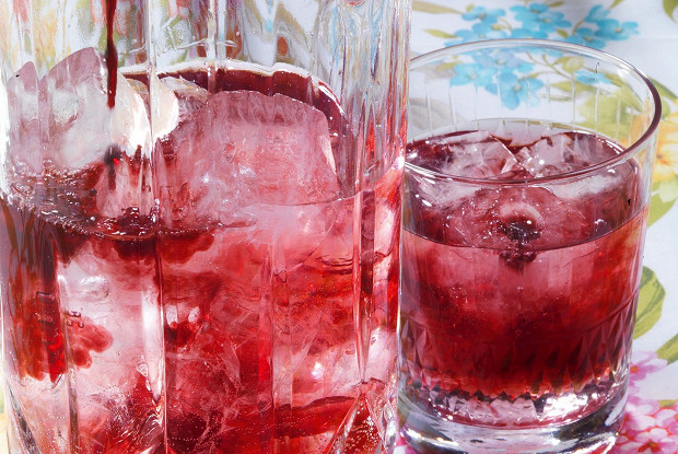 Raspberry gin and tonic