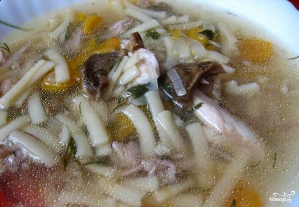 Porcini mushroom soup in chicken broth