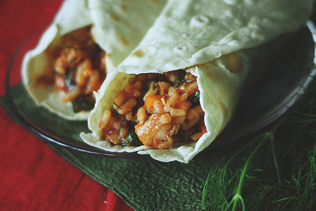 Burrito with chicken and rice