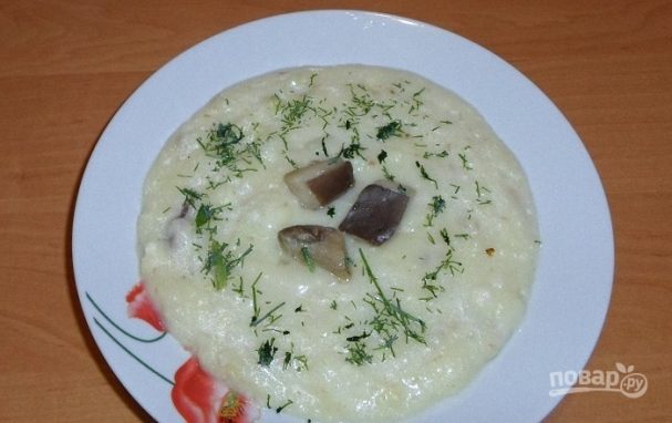 Dried mushroom cream soup