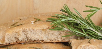 Whole grain focaccia with rosemary