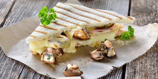 Spicy mushroom and cheese sandwich