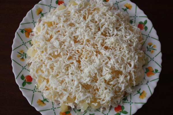 Salad with chicken, corn and cheese