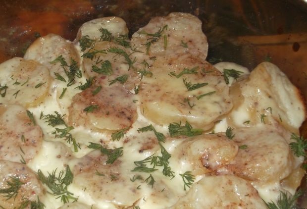 Potato casserole with sour cream