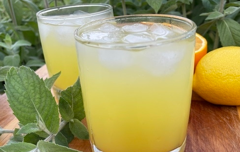 Citrus lemonade with ginger and mint