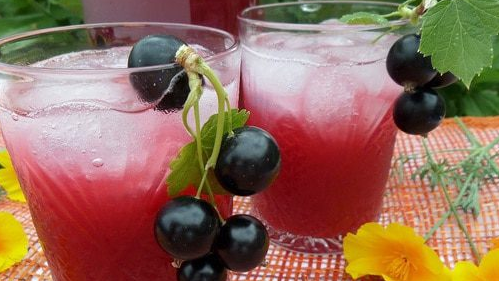 Rhubarb and blackcurrant drink