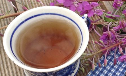 Fireweed tea (or Ivan-tea)