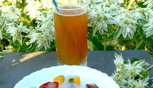 Calendula drink with flower ice