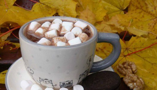 Hot chocolate with walnuts and marshmallows