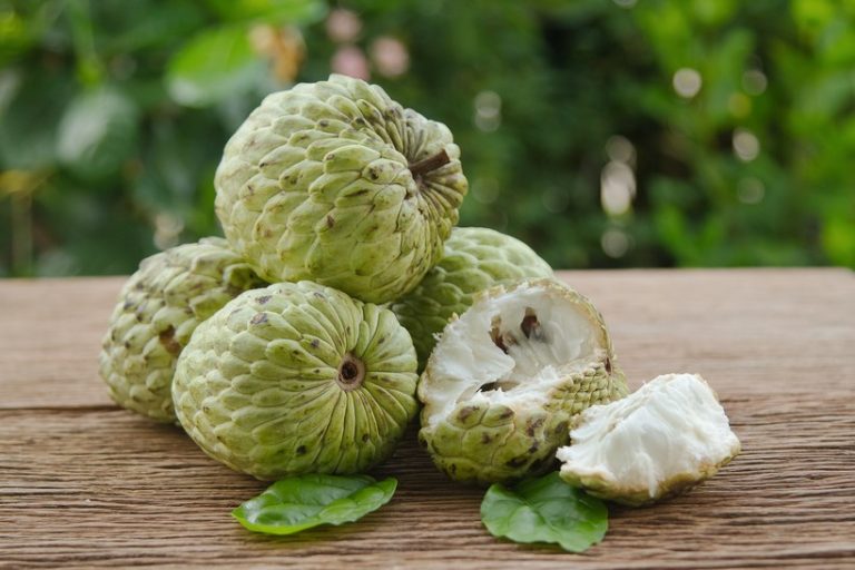 12 Brilliant Facts About Cherimoya