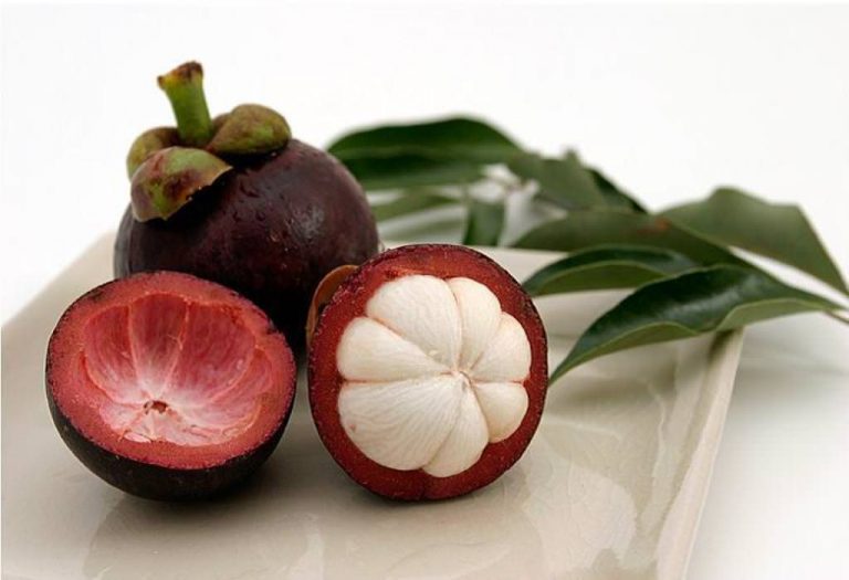 10 Reasons Why Mangosteen is Considered The Most Delicious Fruit