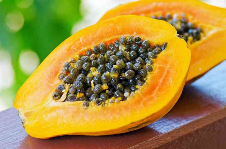10 Eye-Catching Facts About Papaya