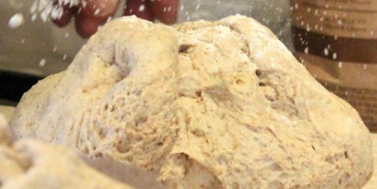 Stick Bread: 2 Recipes for Stick Bread Dough with and without Yeast