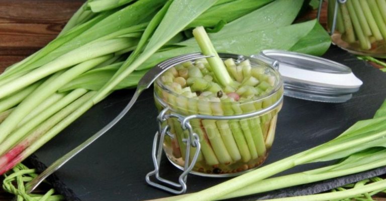Wild Garlic Oil: A Recipe to Make Yourself