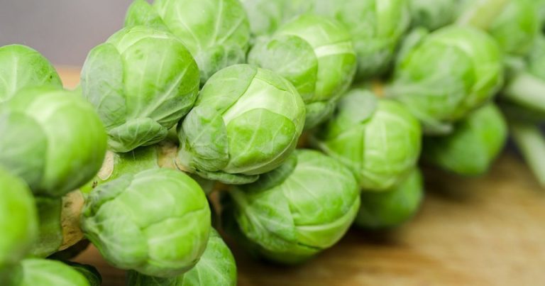 Brussels Sprouts are Healthy: That’s Why You Should Eat the Regional Winter Vegetable More Often
