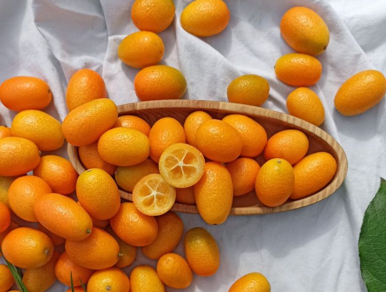 Kumquat: How to Plant and Eat the Exotic Fruit