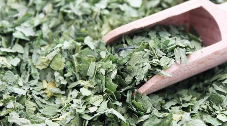 Dry Wild Garlic: This is How You Make It Last for the Rest of the Year