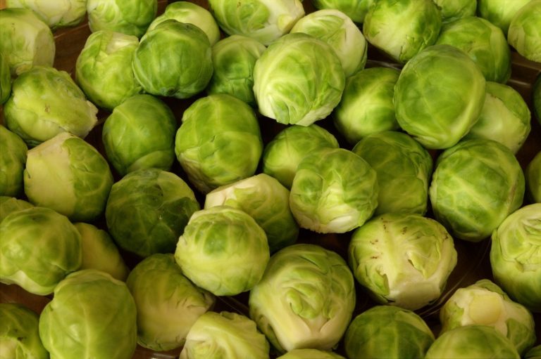 Brussels Sprouts Casserole: a Vegetarian Recipe
