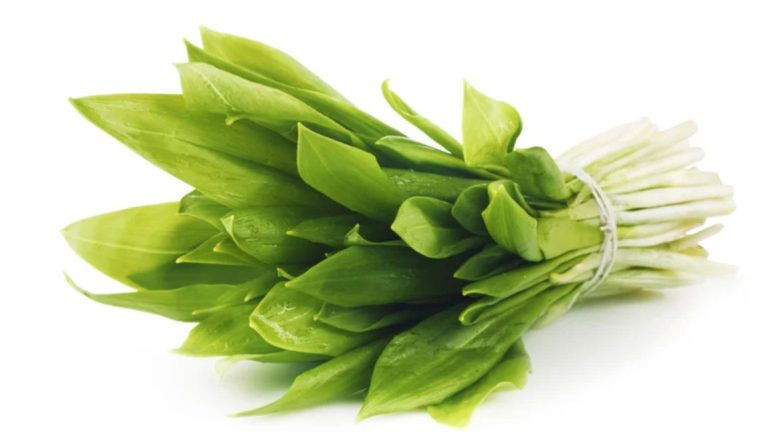Preserve Wild Garlic: You Have These 3 Options
