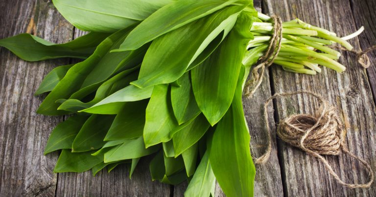 Wild Garlic Salt: Recipe for Herbal Salt with Fresh Wild Garlic