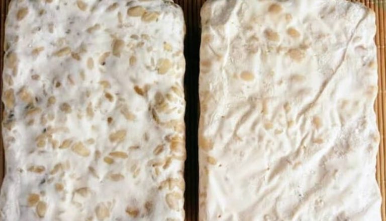 Tempeh: Worth Knowing About Fermented Meat Substitutes