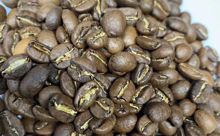 Make Mocha Beans Yourself: This is How the Chocolates Go Vegan