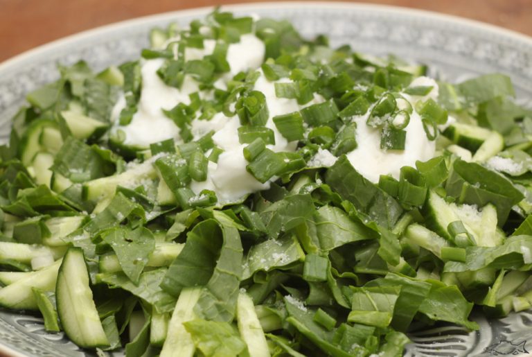 Sorrel Salad: Vegan Recipe with Strawberries