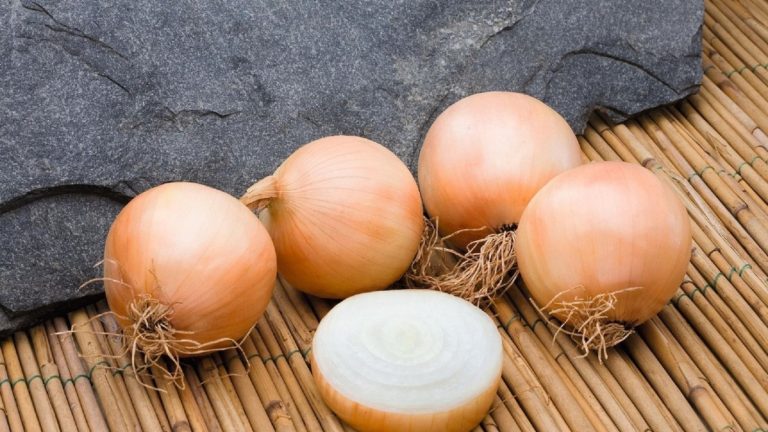 Food Myth: Are Sprouting Onions Inedible?