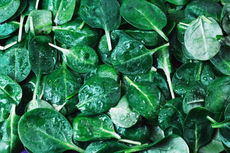 Eating Spinach Raw: When it’s Healthy and When It’s Dangerous