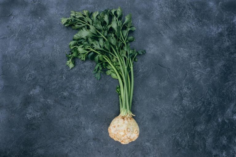 Eating Celery Raw: What Speaks For it