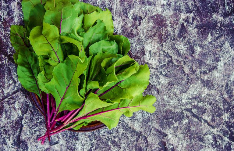 Eating Chard Raw: Advantages and When You Shouldn’t Eat it