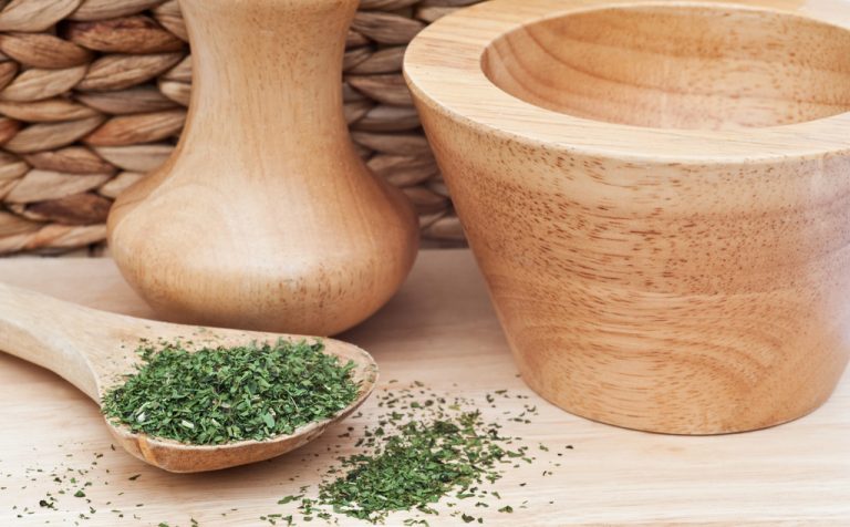 Coriander: Worth Knowing About The Spice and Medicinal Plant
