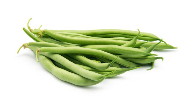 Planting Pole Beans: What You Have to Pay Attention to When Growing and Caring For Them