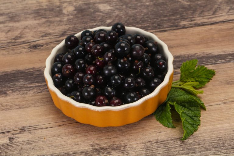 Black Food: What’s the Truth About Black Food?