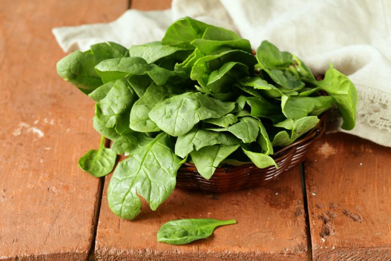 These Vegetables are Particularly Healthy – That’s in Them