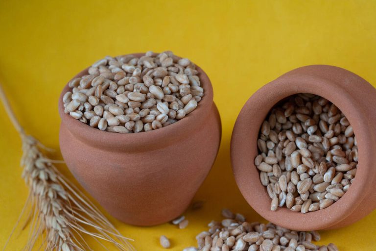 Emmer: How Healthy is The Ancient Grain?