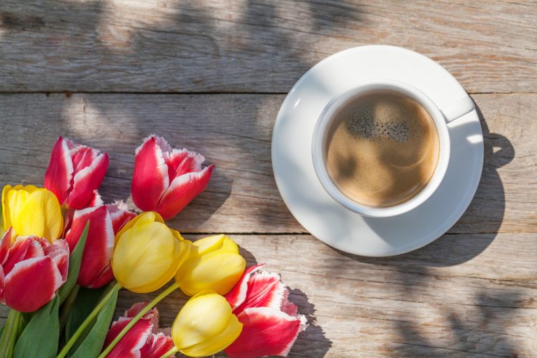 Coffee Trends 2022 – Coffee Can Be So Unusual