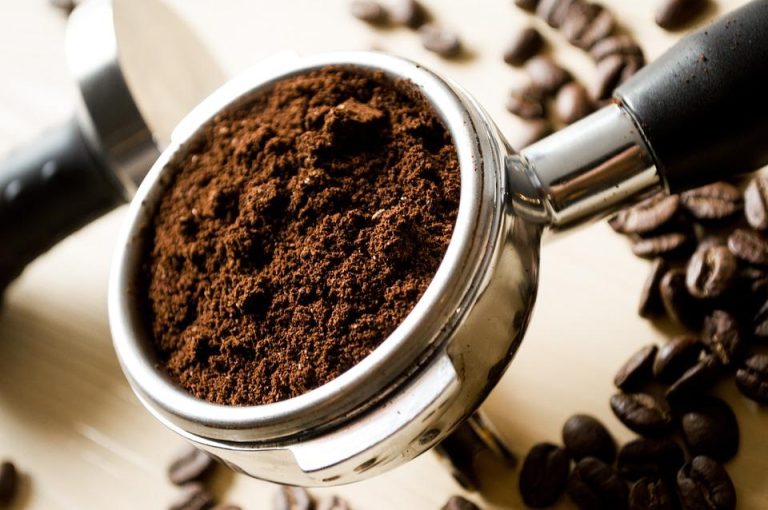 Grow Edible Mushrooms With Coffee Grounds