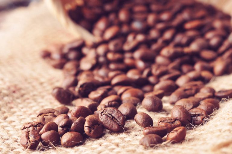 The Fine Difference: About the Coffee Varieties Arabica and Robusta