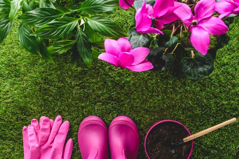 Use Coffee Leftovers For The Garden And Home