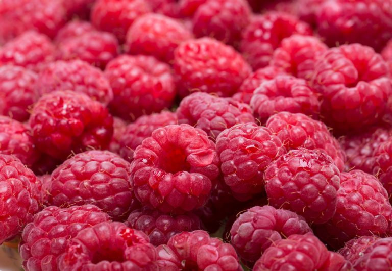 Fruity Coffee And its Taste