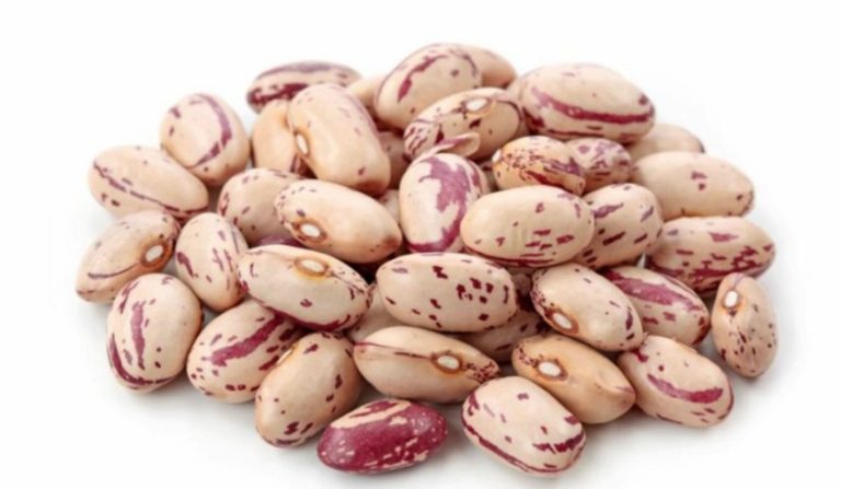 Magnesium Deficiency: That’s How Important Magnesium Is