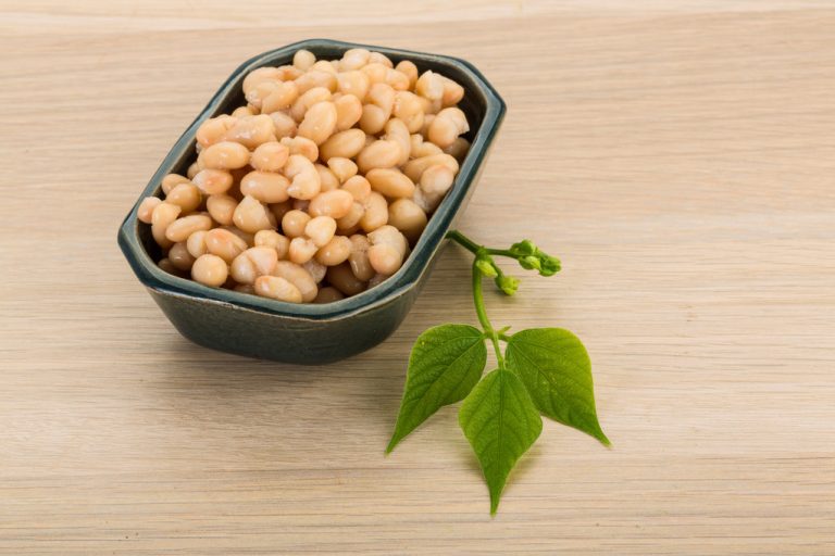 Vegetables With Lots of Protein: All Vegans Should Know These