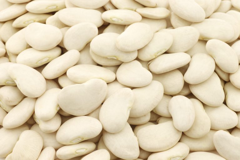 Lima Beans Nutritional Values And Uses of The ProteinRich Bean