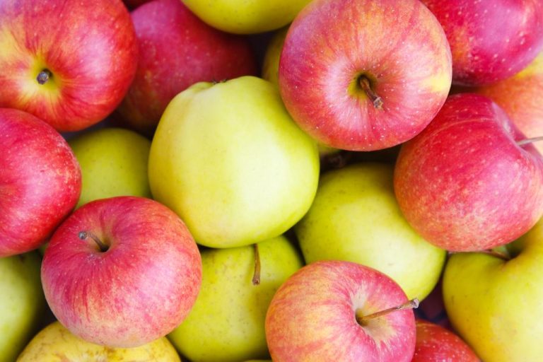 Apple: It Really is That Healthy – Vitamins, Nutritional Values, Сalories